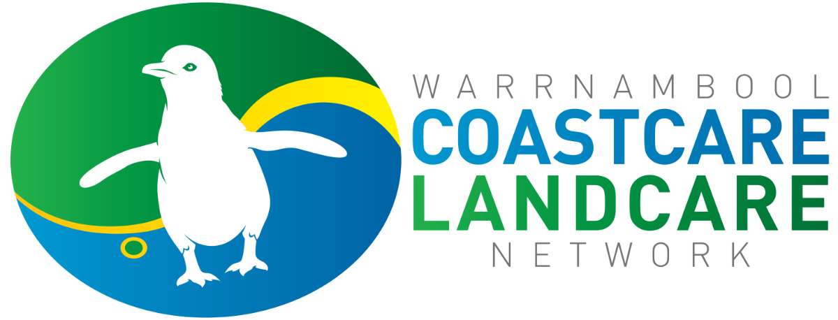 WCLN Logo